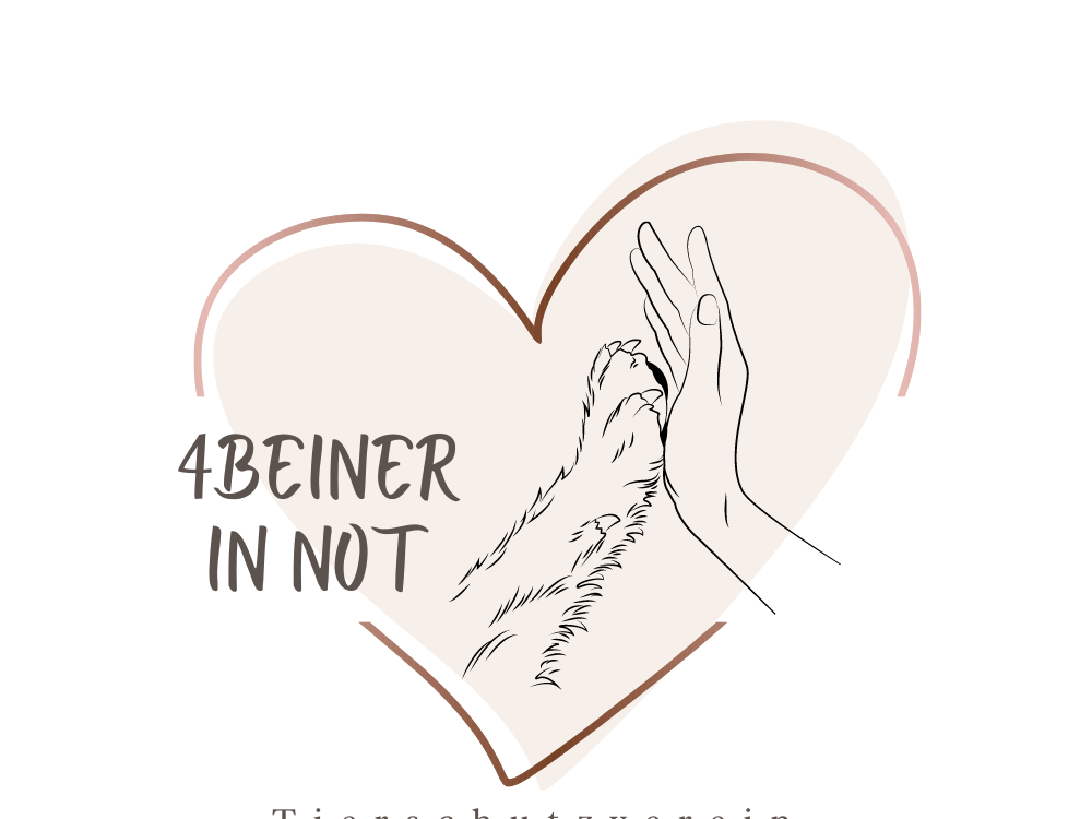 4Beiner in Not
