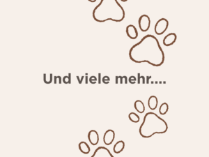 Hund mit rotem Halsband draußen.