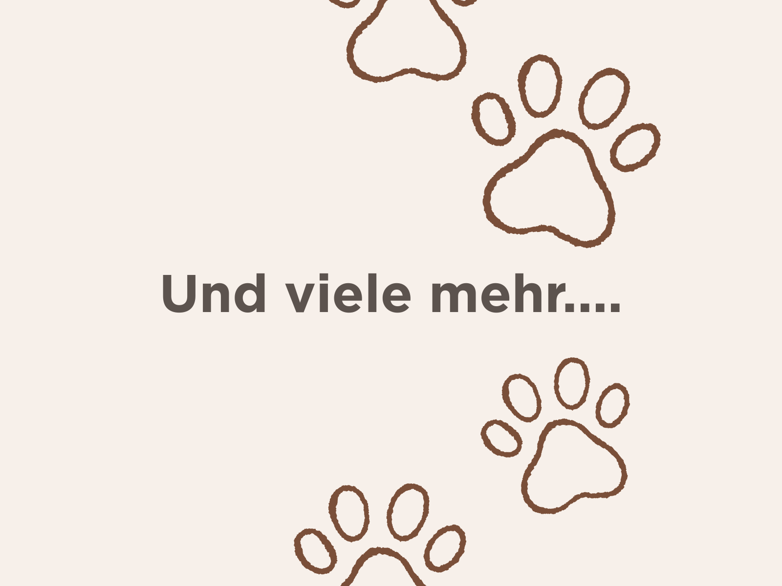 Hund mit rotem Halsband draußen.